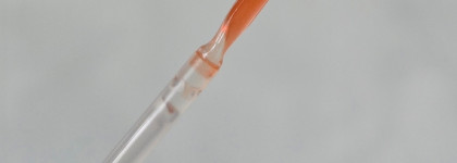 Новинка этого лета: блеск для губ Catrice Summer Lips Lipglaze C02 Orange Spritz