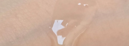 Достойный бюджетный пилинг: Eden Cosmetics For Hair с салициловой кислотой