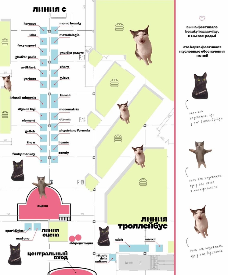 Вот такую карту можно было получить при входе