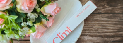 Burnt Sienna: Climt Cosmetics Natural Lip Perfector Samantha
