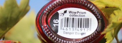 Dance Legend wow prizm №16 Danger Danger