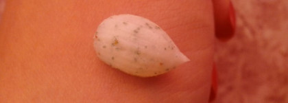 Надо, надо умываться! Скраб Himalaya, гель для умывания Секреты Лан и гель-пенка Кора