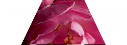 Женственность во флаконе, или Dior J'adore Eau de toilette