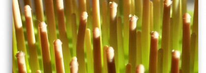 Мое недоумение с расческой Macadamia Natural Oil No Tangle Brush