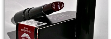 Помада Holika Holika Pro:Beauty Kissable Lipstick RD801