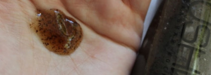 Dushka. Когда что-то пошло не так