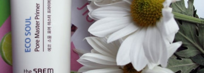 Выравнивающий праймер для широких пор - The Saem Eco Soul Pore Master Primer