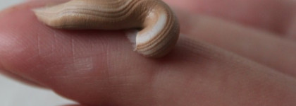 2in1 Primer & Foundation, Selfie Make-up от Dermacol