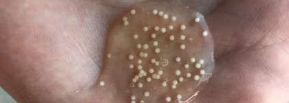 Double Dare - не только маски-пленки