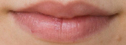 Pupa Cat 1 Ода глупости