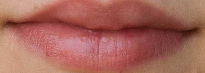 Pupa Cat 1 Ода глупости