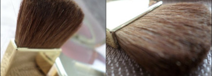 Румяна Dolce & Gabbana The Blush Luminous Cheek Colour, # 30 Rose. The Fall Runway Collection Fall 2014