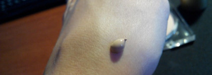 Идеальный тон и пудра от Lambre