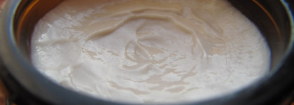 Styx Naturсosmetic Moor Day Cream - крем-спаситель из Австрии