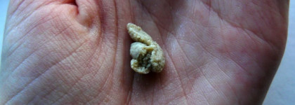 Lush - Angels on Bare Skin