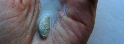 Lush - Angels on Bare Skin