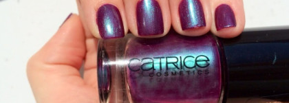 По мотивам Гарри Поттера, или ягода, слива и хамелеон