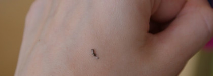 Clarins Waterproof Eyeshadow Shimmering Cream Colour # 03 Silver Taupe