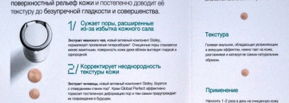 It's really perfect! Sisley Global Perfect Pore Minimizer