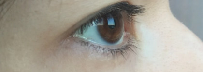 Тушь для ресниц "Крылья бабочки" L'oreal False Lash Papillon mascara Midnight Blacks