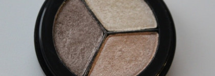 Тени для век Paese Dancing Queen Eyeshadow Trio № 805