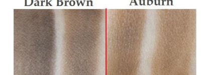 Smashbox Brow Tech Dark brown и Auburn. Подводка для бровей