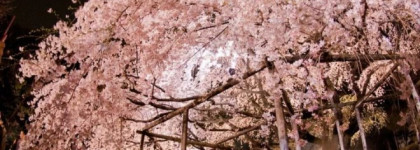 Цветущий сад Рикугиэн. Помада-карандаш Nars Satin Lip Pencil в оттенке Rikugien