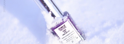 Чертополох на снегу. Лак для ногтей A-England Crown of Thistles