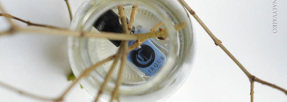 Take me to river, deep me in the water. Лак для ногтей Cirque Colors в оттенке Hudson