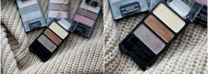 Мои первые красавицы-палетки Wet n Wild Color Icon