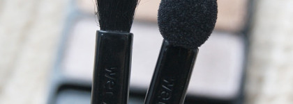 Мои первые красавицы-палетки Wet n Wild Color Icon