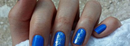 Синий цвет садов Мажорель