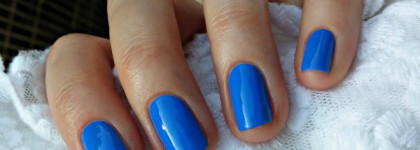 Синий цвет садов Мажорель