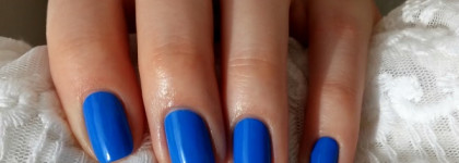 Синий цвет садов Мажорель