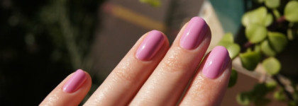 Ga-De Rose Fiction - моя кашемировая роза