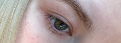 No make up make up для бровей  с Anastasia Beverly Hills Brow Powder Duo в оттенке Medium Brown