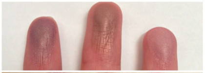 Все краски осени с BH Cosmetics 26 Shadow Blush Combo Palette