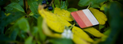 Моя осень...Inglot Freedom System Satin Rainbow Eyeshadow 131