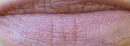 Два любимчика и одно по настоящему осеннее разочарование...MAC Pro Longwear Paint Pot groundwork dupe, Inglot Face Blush 40,Revlon Colorburst Matte Balm, Complex 230