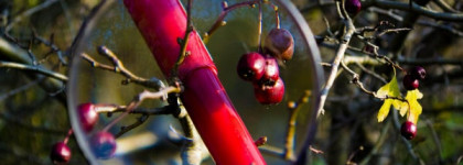 Revlon Just Bitten Kissable Balm Stain в оттенке Romantic