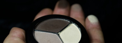 Отличные тени на каждый день Paese  Matte Perfection Luxus Eye Shadow trio № 101