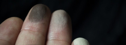 Отличные тени на каждый день Paese  Matte Perfection Luxus Eye Shadow trio № 101