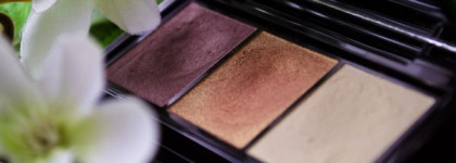 Весна всегда со мной,даже противной дождливой зимой!Shiseido Luminizing Satin Eye Color Trio RD 299 (Beach Grass)