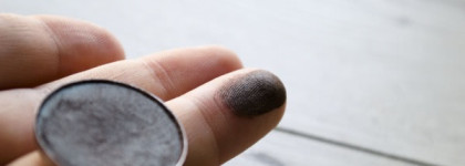 Самые любимые оттенки зимы: Тени MAC Eye Shadow Pro Refill Pan в оттенке Club (satin)