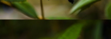 В поисках идела:Блеск для губ Kiko 3D instant volume lip gloss в оттенке 216 Pearly Hazelnut