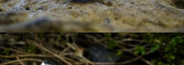 В поисках идела:Блеск для губ Kiko 3D instant volume lip gloss в оттенке 216 Pearly Hazelnut