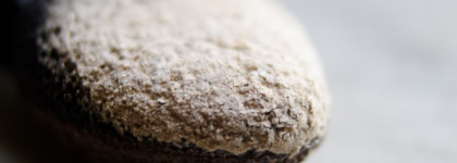 Тени Estee Lauder Pure Color Envy Sculpting EyeShadow 5-Color Palette 02 Ivory Power