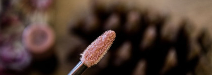 Очередная попытка найти идеальый блеск "нюд" Shiseido Lacquer Gloss в оттенке BE 102 Debut