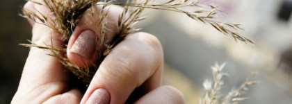 Маленький пост о большом лаке