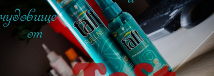 Лак для волос и уплотняющий спрей из серии  Taft Fullness Густые и пышные от Schwarzkopf
